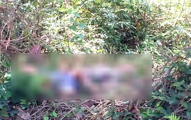 Tin trong nước - Lâm Đồng: Bàng hoàng phát hiện nam nhạc công tử vong bất thường bên bờ suối