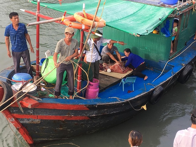 Tin trong nước - Vụ bé trai 4 tuổi rơi xuống biển mất tích ở Quảng Ninh: Đã tìm thấy thi thể nạn nhân