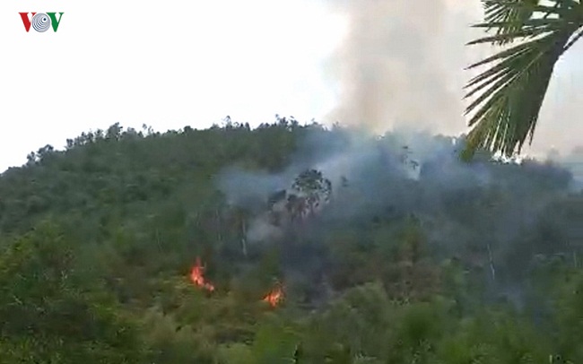 Tin trong nước - Đà Nẵng: 3 giờ chiến đấu với 'giặc lửa', khống chế thành công đám cháy rừng tự nhiên