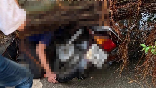 Tin trong nước - Tin tức tai nạn giao thông mới nhất hôm nay 30/8/2019: Nam thanh niên đi xe máy bị cây đè tử vong