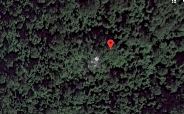 Tin thế giới - Tiết lộ bất ngờ về khu rừng nơi được cho là phát hiện buồng lái máy bay MH370