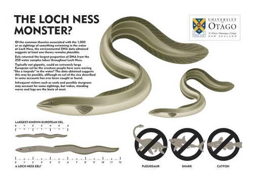 Tin thế giới - Huyền thoại hồ Loch Ness: Không tìm thấy ‘ADN quái vật’