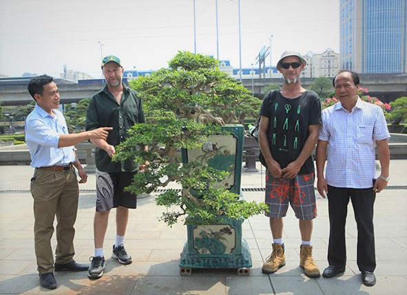 Xã hội - Hội nhập cây cảnh nghệ thuật, bonsai Quốc tế: Cách tiếp cận nào phù hợp với Việt Nam (Hình 4).