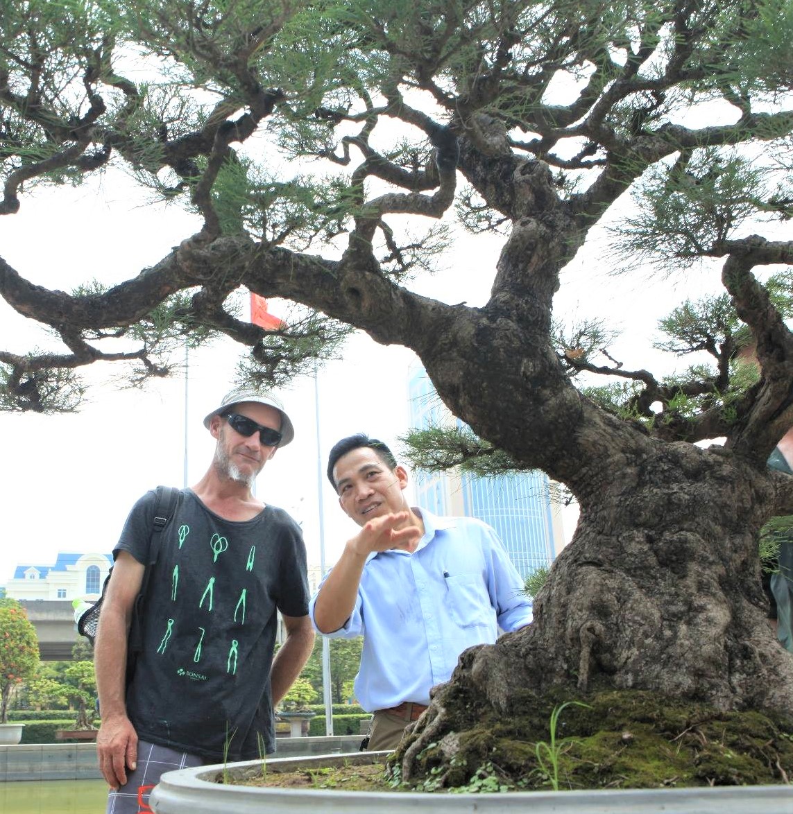 Xã hội - Hội nhập cây cảnh nghệ thuật, bonsai Quốc tế: Cách tiếp cận nào phù hợp với Việt Nam