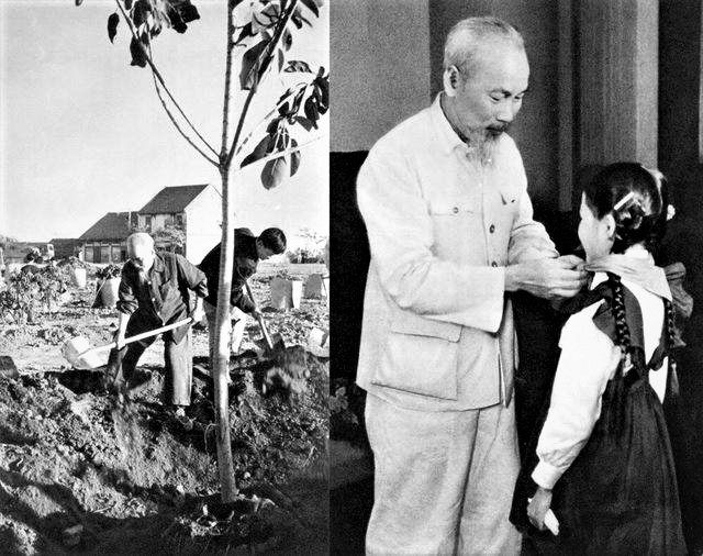 Xã hội - Chủ tịch Hồ Chí Minh với sự nghiệp Trồng cây và Trồng người