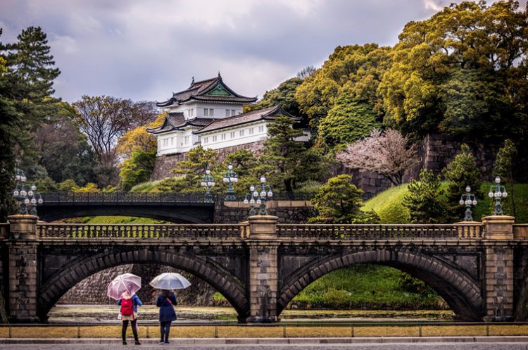 Xã hội - Tour Nhật Bản - Ngắm hoa anh đào dịp tết canh tý 2020 (Hình 2).