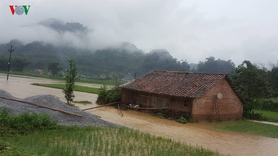 Tin trong nước - Mưa lớn gây nhiều thiệt hại ở Cao Bằng, hơn 900 ngôi nhà bị ngập lụt (Hình 4).