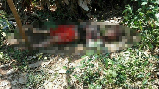 Tin trong nước - Bình Phước: Phát hiện người đàn ông tử vong trong vườn nhà, trên thi thể có nhiều vết thương