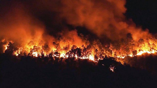 Pháp luật - Tin tức pháp luật mới nhất ngày 22/3/2020: Đốt thực bì gây cháy rừng, người đàn ông bị phạt 90 triệu đồng