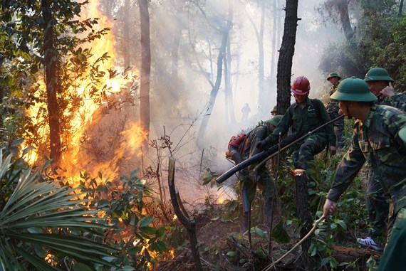 Tin trong nước - Vụ cháy rừng ở núi Hồng Lĩnh: Lửa bất ngờ đổi chiều, tiến sát khu dân cư