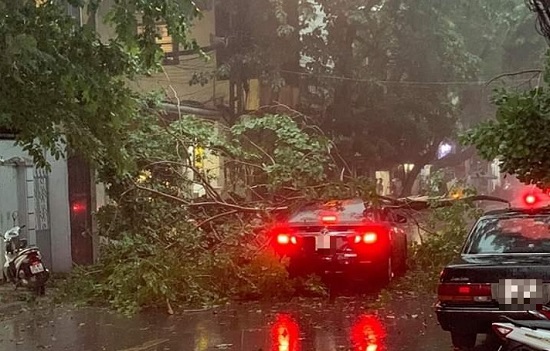 Tin trong nước - Hà Nội: Mưa lớn đầu giờ chiều khiến cây đổ, rơi trúng ô tô đang lưu thông