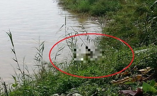 Tin trong nước - Đà Nẵng: Phát hiện thi thể nữ giới trôi trên sông Cẩm Lệ