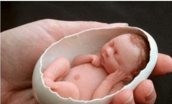 Tin thế giới - Bé sơ sinh nhỏ nhất thế giới: Sinh ra chỉ dài 2,5cm, có thể nằm gọn trong vỏ trứng gà (Hình 3).