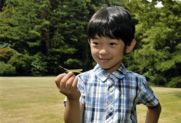 Gia đình - Tình yêu - Hoàng tử bé Hisahito, “chân mệnh thiên tử” Nhật Bản mới sinh ra đã gánh tương lai hoàng gia (Hình 3).