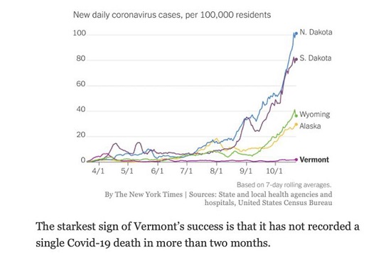 Tin thế giới - Nguyên nhân Vermont là duy nhất tại Mỹ chưa từng ghi nhận ca tử vong do COVID-19