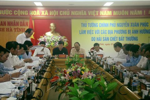 Thủ tướng chỉ đạo tại Hà Tĩnh: Không bao che một ai gây ra nguyên nhân cá chết - Ảnh 1