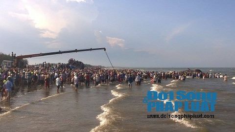 An táng cá voi nặng 10 tấn chết nổi trên vùng biển Nghệ An  - Ảnh 2