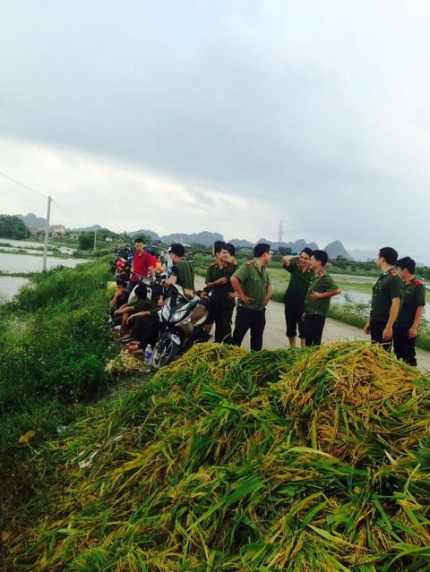 Hàng trăm chiến sỹ công an, bộ đội dìm mình trong nước giúp dân vớt lúa - Ảnh 1