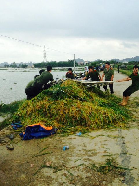 CSGT, bộ đội ngâm mình dưới nước vớt lúa giúp dân gây bão mạng - Ảnh 2