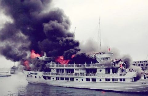 Tạm dừng hoạt động toàn bộ tàu sau vụ cháy tại Tuần Châu - Ảnh 1