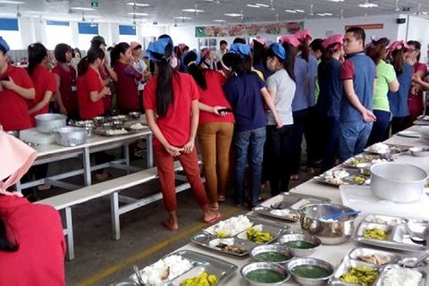 Nam Định: Công nhân phát hoảng vì phát hiện cơm có dòi  - Ảnh 1