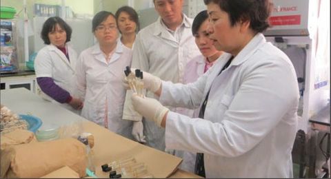 Gặp nhà khoa học nữ dầm mưa dãi nắng xử lý chất độc da cam - Ảnh 1