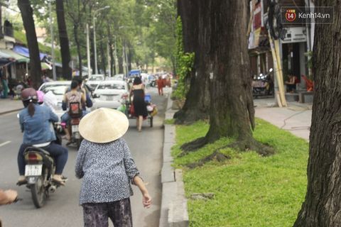 Gặp cô gái "váy đen, khăn đỏ" đẩy xe cho bà cụ bán rong ở Sài Gòn - Ảnh 5