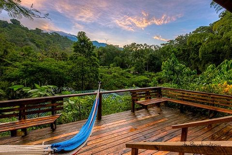 Cặp đôi dành toàn bộ tài sản để 'xây nhà' trên cây trong rừng nhiệt đới Nam Mỹ  - Ảnh 2