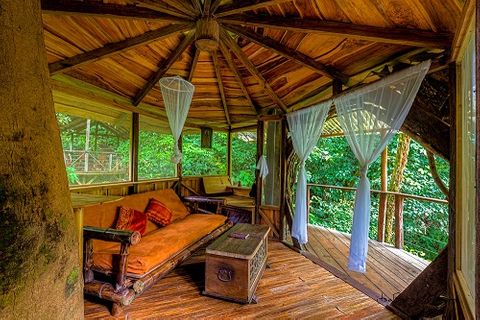Cặp đôi dành toàn bộ tài sản để 'xây nhà' trên cây trong rừng nhiệt đới Nam Mỹ  - Ảnh 5