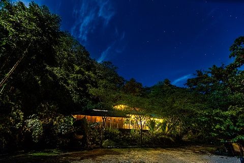 Cặp đôi dành toàn bộ tài sản để 'xây nhà' trên cây trong rừng nhiệt đới Nam Mỹ  - Ảnh 8