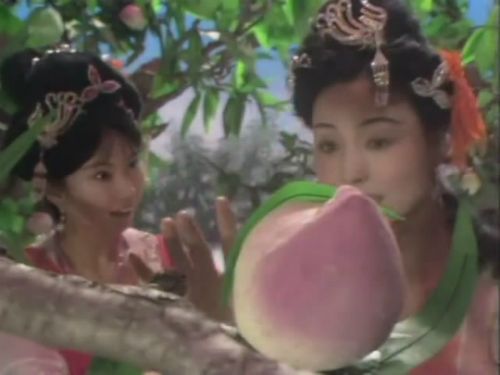 Sự thật về quả đào tiên và quả nhân sâm nghìn năm ra hoa, nghìn năm kết trái trong phim Tây Du Ký 1986 - Ảnh 5