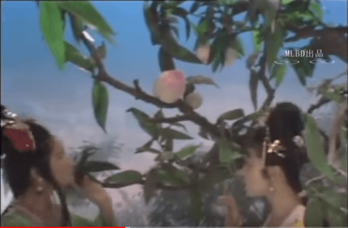 Sự thật về quả đào tiên và quả nhân sâm nghìn năm ra hoa, nghìn năm kết trái trong phim Tây Du Ký 1986 - Ảnh 7