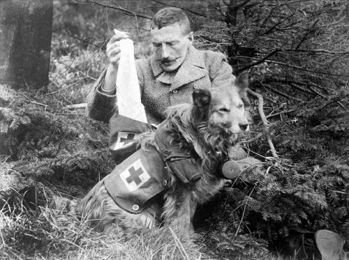 Những “chiến binh đặc biệt” trong Chiến tranh Thế giới thứ nhất - Ảnh 3