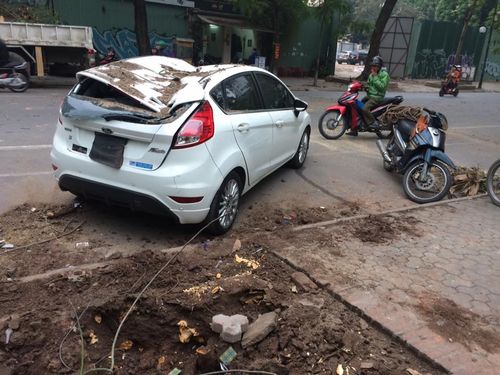 Hà Nội: Cây đổ đè bẹp ô tô đỗ bên đường - Ảnh 3
