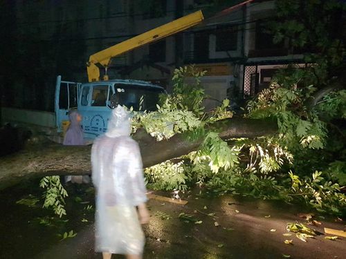 Ảnh hưởng bão số 14: TP HCM tắc đường vì ngập và cây đổ  - Ảnh 2