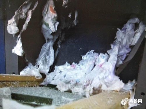 Xem cảnh nhà máy Trung Quốc tái chế bỉm bẩn thành bỉm sạch có thương hiệu - Ảnh 4