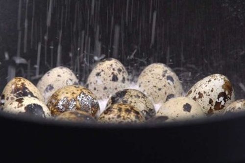 Cách làm trứng chim cút muối - món ăn vặt nổi tiềng của Hồng Kông - Ảnh 5