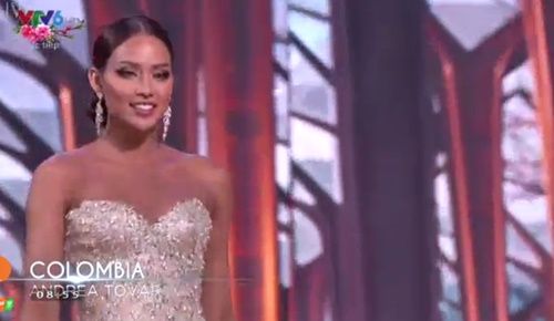 Chung kết Hoa hậu Hoàn vũ - Miss Universe 2016: Người đẹp Pháp đăng quang - Ảnh 26
