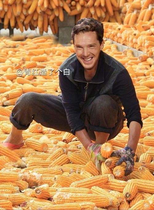 "Cười nghiêng ngả" với ảnh chế sao Hollywood thu hoạch nông sản cực bá đạo - Ảnh 9