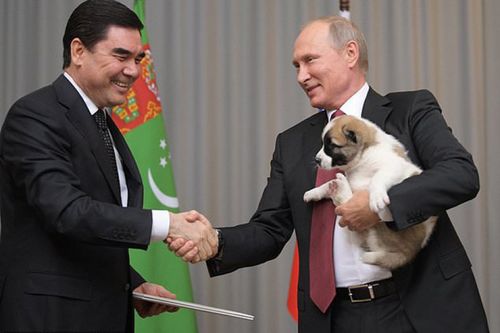 Tổng thống Putin lại được tặng chó nhân dịp sinh nhật - Ảnh 2