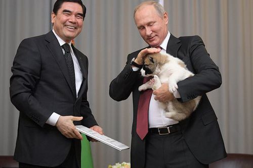 Tổng thống Putin lại được tặng chó nhân dịp sinh nhật - Ảnh 1