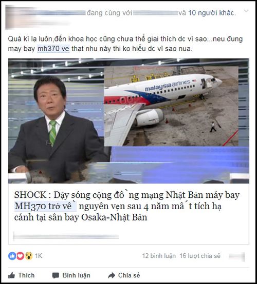 Sự thật về việc máy bay MH370 xuất hiện tại  Nhật Bản sau 4 năm mất tích - Ảnh 2