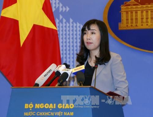  Người Phát ngôn Bộ Ngoại giao: Thực hiện biện pháp bảo hộ công dân Việt Nam ở nước ngoài  - Ảnh 1