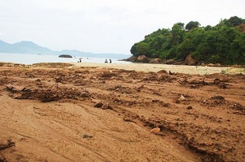Chủ đầu tư trình giải pháp ngăn bùn đất đỏ từ dự án 'bạt núi' Sơn Trà tràn xuống biển - Ảnh 1