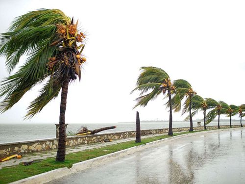 Bão Irma gây sóng cao 6 m, biến thủ đô Cuba thành ‘bể nước lớn’ - Ảnh 2