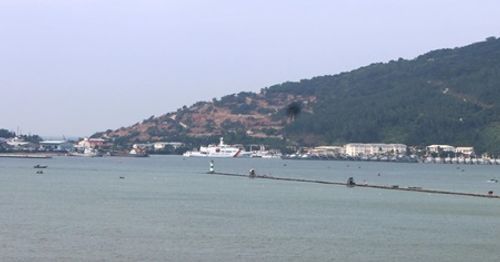 Sở Du lịch Đà Nẵng phản hồi "tâm thư" gửi Thủ tướng về quy hoạch Sơn Trà - Ảnh 2