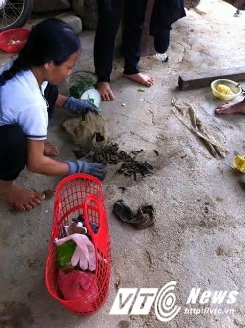 Nghệ An:Người dân đổ xô bắt đỉa bán cho thương lái 600 nghìn đồng/kg - Ảnh 2