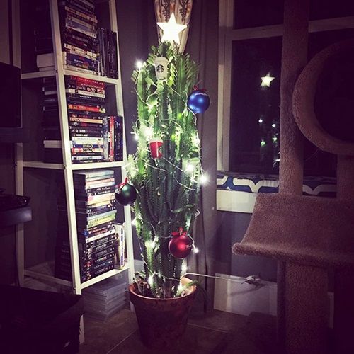 Cách để bảo vệ cây thông Noel của bạn khỏi “giặc”… chó mèo - Ảnh 11
