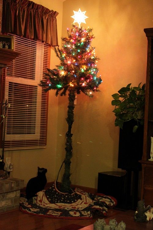 Cách để bảo vệ cây thông Noel của bạn khỏi “giặc”… chó mèo - Ảnh 13