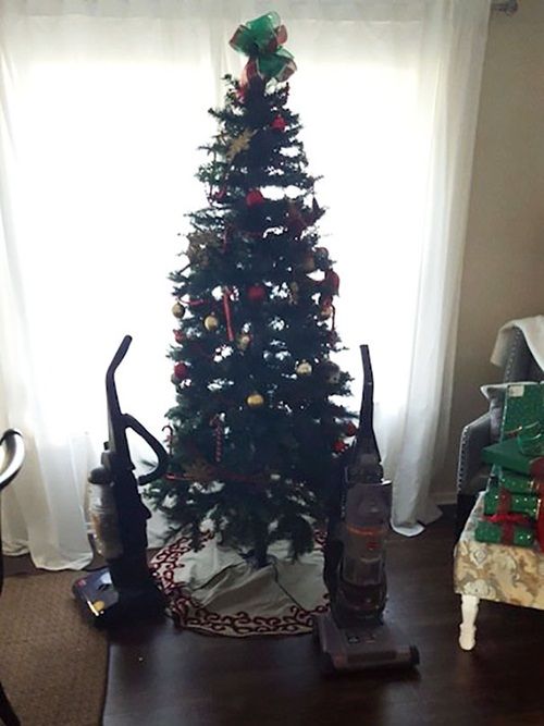 Cách để bảo vệ cây thông Noel của bạn khỏi “giặc”… chó mèo - Ảnh 2